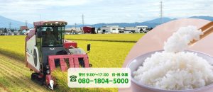 加藤ファームのお米