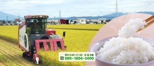 山形県 加藤ファームのお米